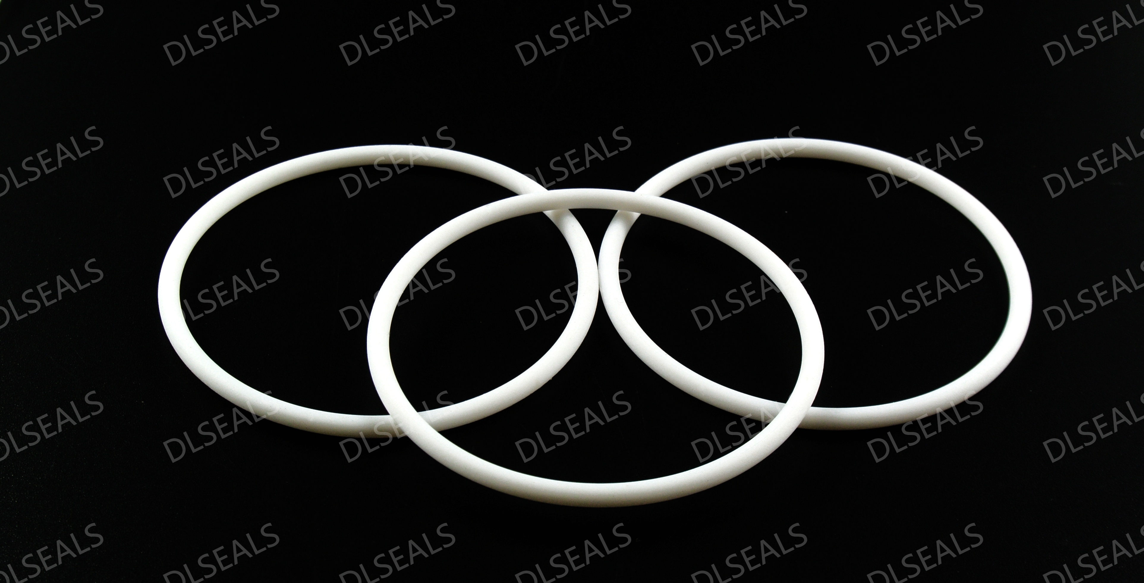 PTFE O型圈